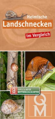 Cover von Heimische Landschnecken im Vergleich