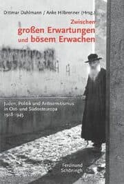 Cover von Zwischen großen Erwartungen und bösem Erwachen