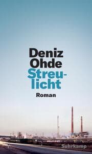 Cover von Streulicht