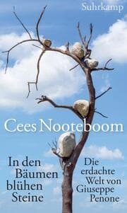 Cover von In den Bäumen blühen Steine