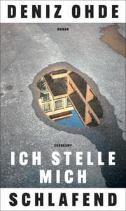 Cover von Ich stelle mich schlafend