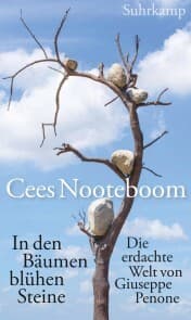 Cover von In den Bäumen blühen Steine