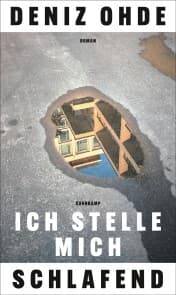 Cover von Ich stelle mich schlafend