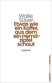 Cover von Etwas wie ein Koffer, aus dem ein Hemdzipfel schaut