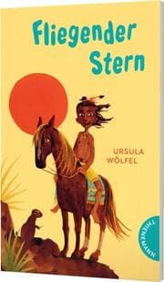 Cover von Fliegender Stern