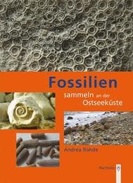 Cover von Fossilien sammeln an der Ostseeküste