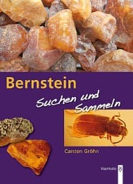 Cover von Bernstein - suchen und sammeln