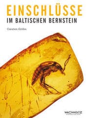 Cover von Einschlüsse im baltischen Bernstein