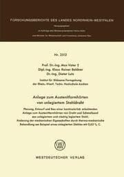 Cover von Anlage zum Austenitformhärten von unlegiertem Stahldraht