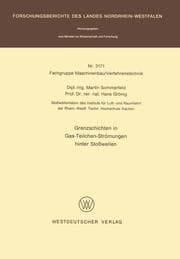 Cover von Grenzschichten in Gas-Teilchen-Strömungen hinter Stoßwellen
