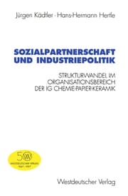 Cover von Sozialpartnerschaft und Industriepolitik