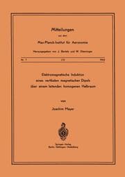 Cover von Elektromagnetische Induktion eines vertikalen magnetischen Dipols über einem leitenden homogenen Halbraum