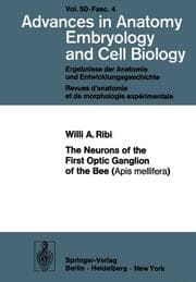Cover von The Neurons of the First Optic Ganglion of the Bee (Apis mellifera)