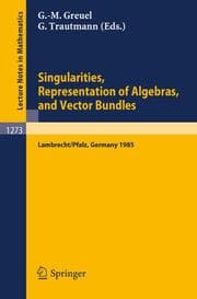 Cover von Singularities, Representation of Algebras, and Vector Bundles