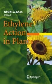 Cover von Ethylene Action in Plants