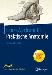 Cover von Bein und Statik