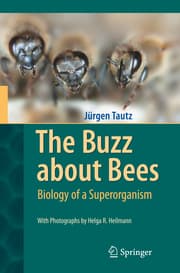 Cover von The Buzz about Bees