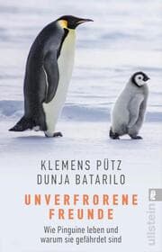 Cover von Unverfrorene Freunde
