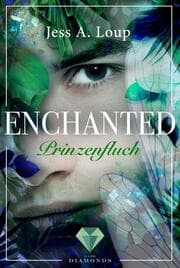 Cover von Prinzenfluch