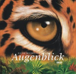 Cover von Augenblick