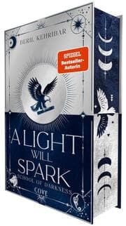 Cover von A Light Will Spark