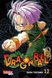 Cover von Dragon Ball Massiv 12