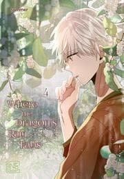 Cover von Where the Dragon's Rain Falls 4
