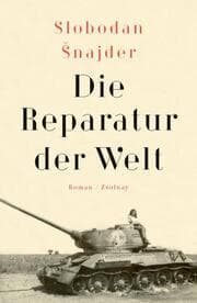 Cover von Die Reparatur der Welt