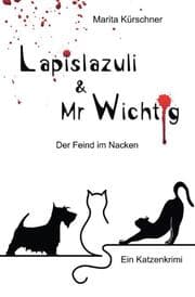 Cover von Lapislazuli & Mr Wichtig - Der Feind im Nacken