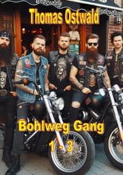 Cover von Bohlweg Gang Sammelband 1-3