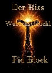 Cover von Der Riss in der Wutachschlucht