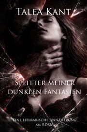 Cover von Splitter meiner dunklen Fantasien