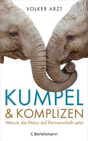 Cover von Kumpel und Komplizen