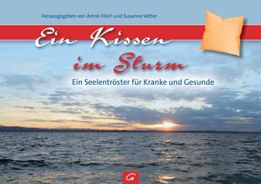 Cover von Ein Kissen im Sturm