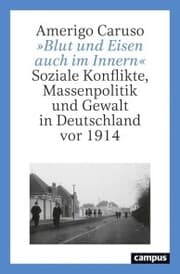 Cover von »Blut und Eisen auch im Innern«