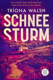 Cover von Schneesturm