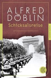 Cover von Schicksalsreise