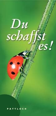 Cover von Du schaffst es!