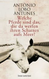 Cover von Welche Pferde sind das, die da werfen ihren Schatten aufs Meer?
