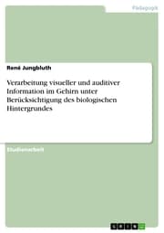 Cover von Verarbeitung visueller und auditiver Information im Gehirn unter Berücksichtigung des biologischen Hintergrundes