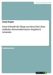 Cover von Lässt Schmidt die Fliege aus dem Glas? Zum radikalen Konstruktivismus Siegfried J. Schmidts