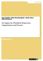 Cover von Six Sigma im Überblick. Wegweiser, Organisation und Prozess