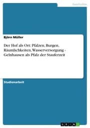 Cover von Der Hof als Ort: Pfalzen, Burgen, Räumlichkeiten, Wasserversorgung - Gelnhausen als Pfalz der Stauferzeit