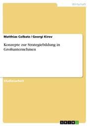 Cover von Konzepte zur Strategiebildung in Großunternehmen