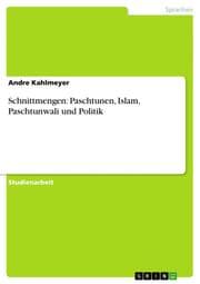 Cover von Schnittmengen: Paschtunen, Islam, Paschtunwali und Politik