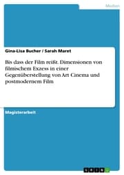 Cover von Bis dass der Film reißt. Dimensionen von filmischem Exzess in einer Gegenüberstellung von Art Cinema und postmodernem Film