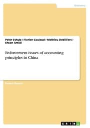Cover von Enforcement issues of accounting principles in China