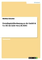 Cover von Fremdkapitalüberlassung an die GmbH & Co.KG im Licht von § 8a KStG