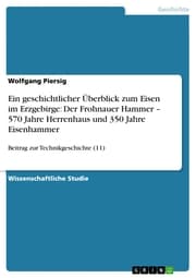 Cover von Ein geschichtlicher Überblick zum Eisen im Erzgebirge: Der Frohnauer Hammer - 570 Jahre Herrenhaus und 350 Jahre Eisenhammer