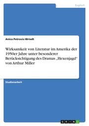 Cover von Wirksamkeit von Literatur im Amerika der 1950er Jahre unter besonderer Berücksichtigung des Dramas Hexenjagd von Arthur Miller